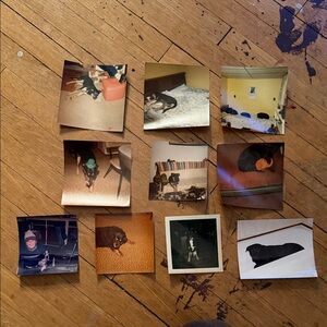 Vintage Dog Photo Collection